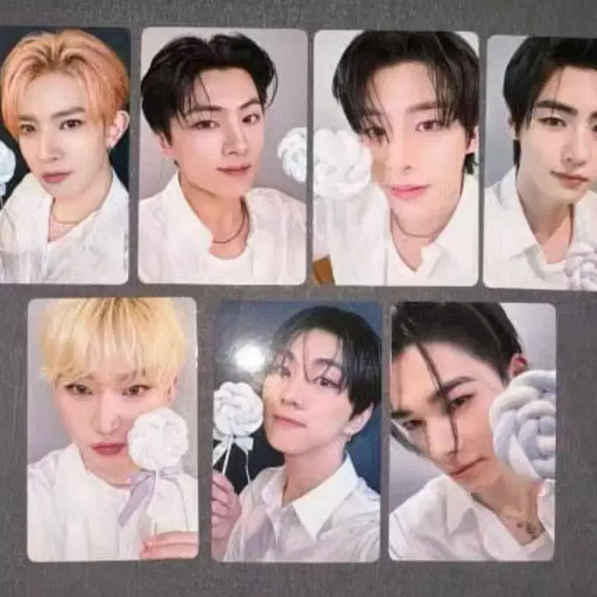 엔하이픈 로맨스언톨드 이즈위 1차분철