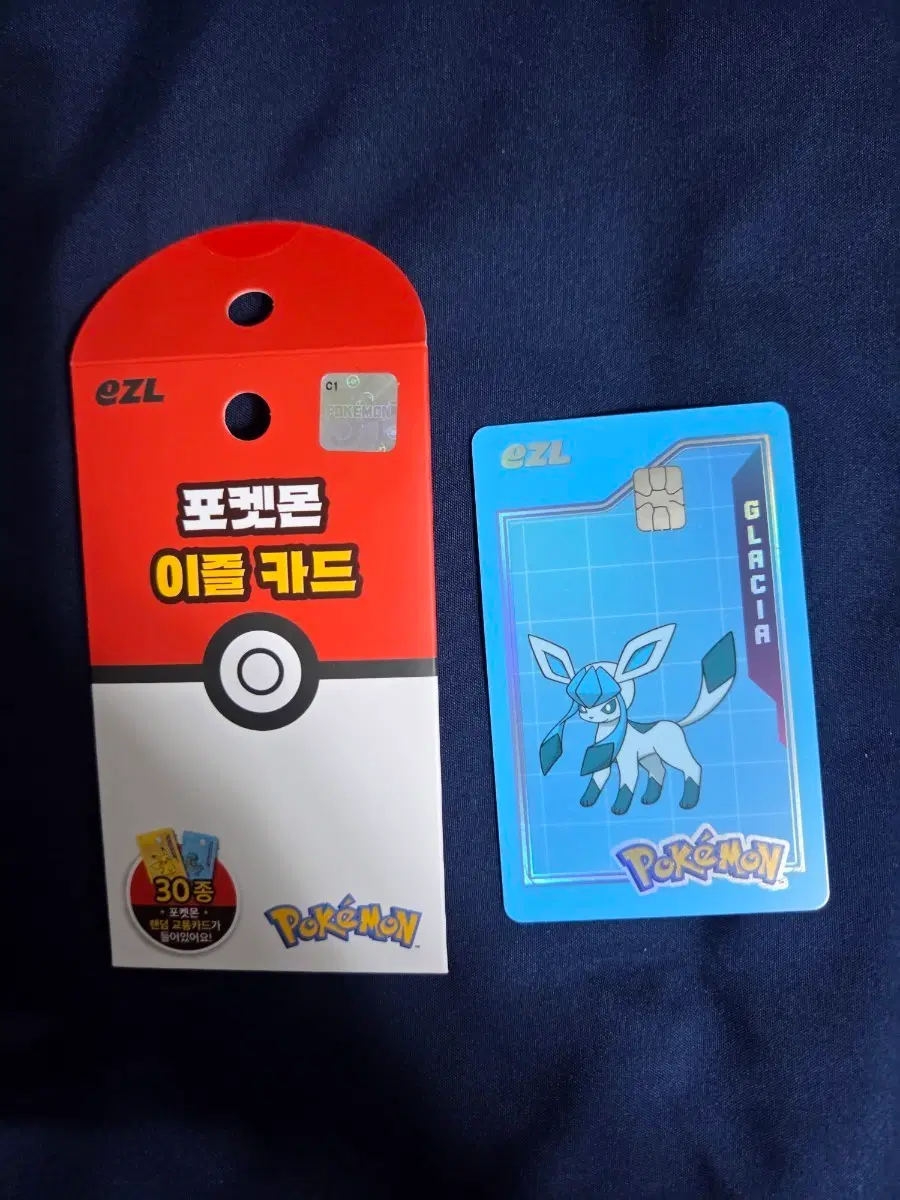포켓몬 이즐 교통카드 글레이시아