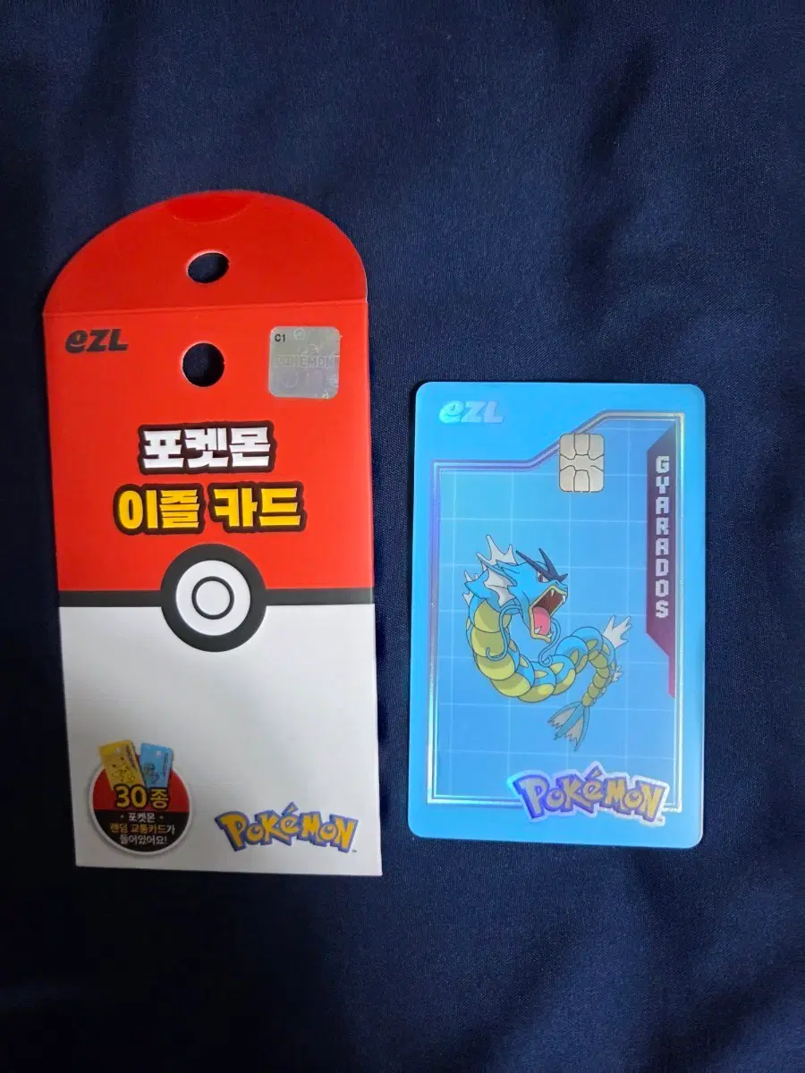 포켓몬 이즐 교통카드 갸라도스