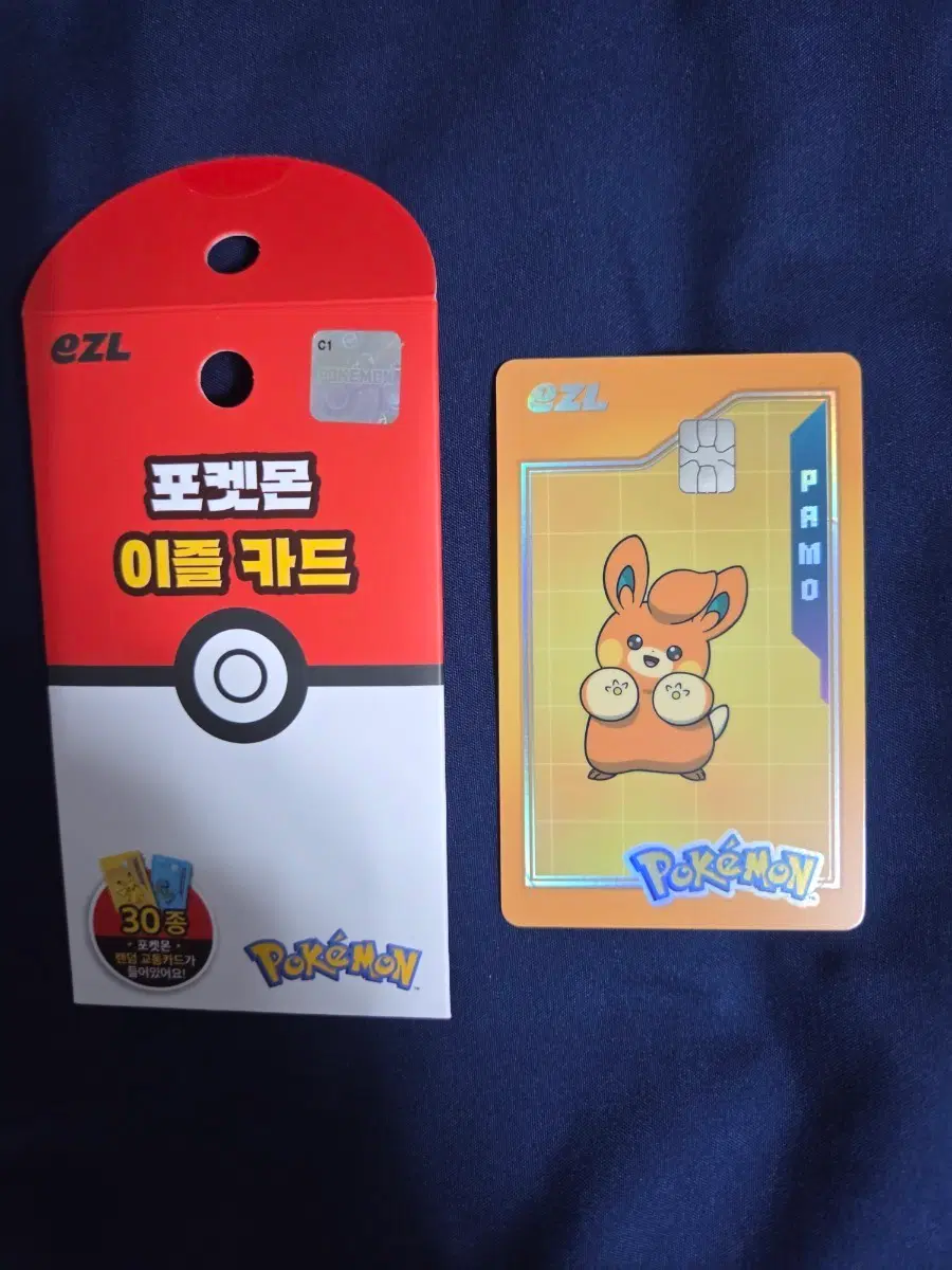 포켓몬 이즐 교통카드 빠모