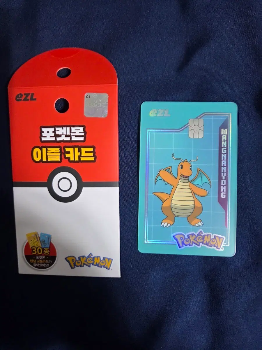 포켓몬 이즐 교통카드 망나뇽