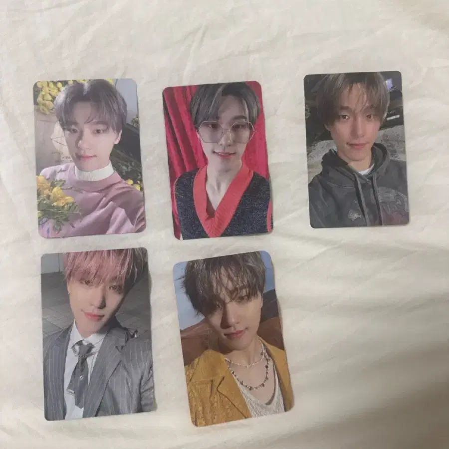 세븐틴 디노 포카