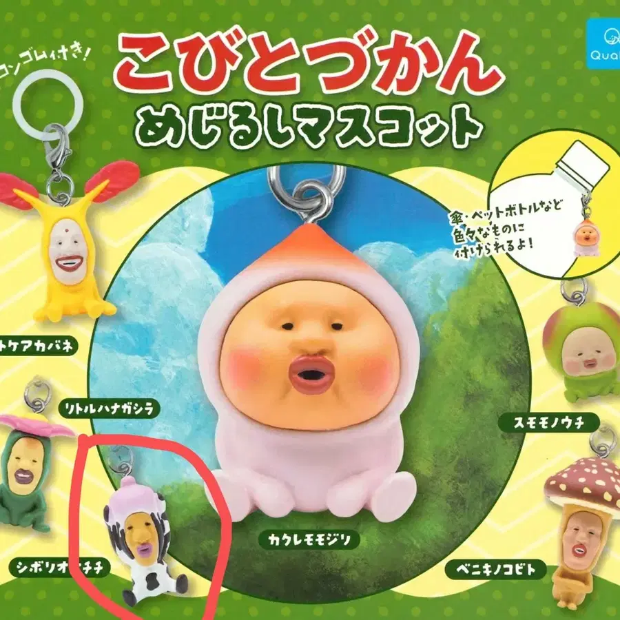코비토즈칸 메지루시 시보리오오치치