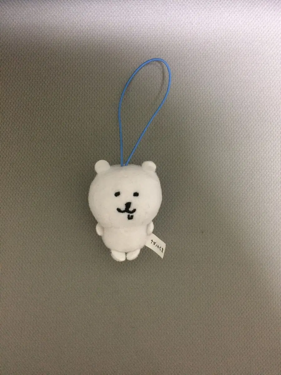 농담곰 침담곰 미니누이