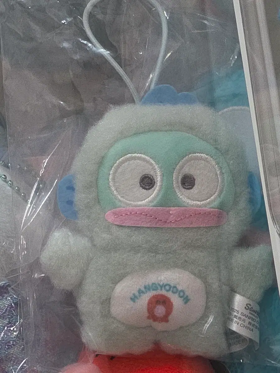 데코백 랜덤 한교동 팔아용