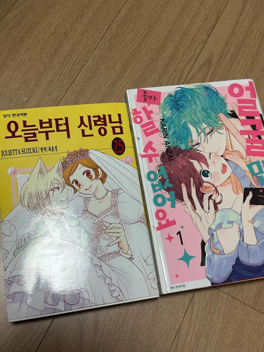오늘부터 신령님 25권 / 얼굴만으론 좋아할수 없어요 1권