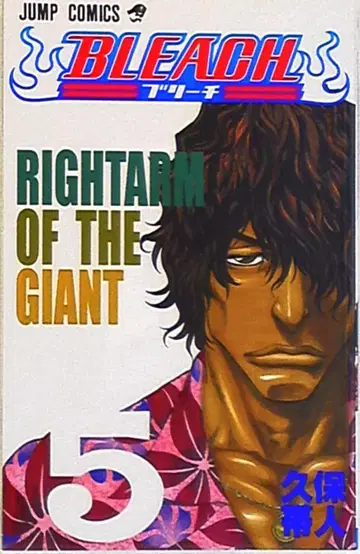 슈에이샤 점프 코믹스 쿠보 타이토 [BLEACH-블리치-] 5권 이미지는 참고 이미지입니다