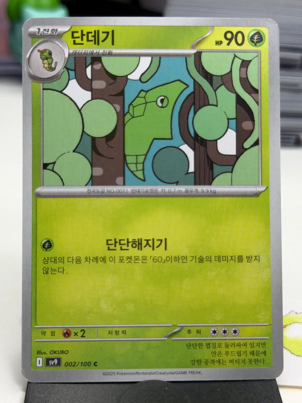 단데기 sv9 002/100 C (300)원