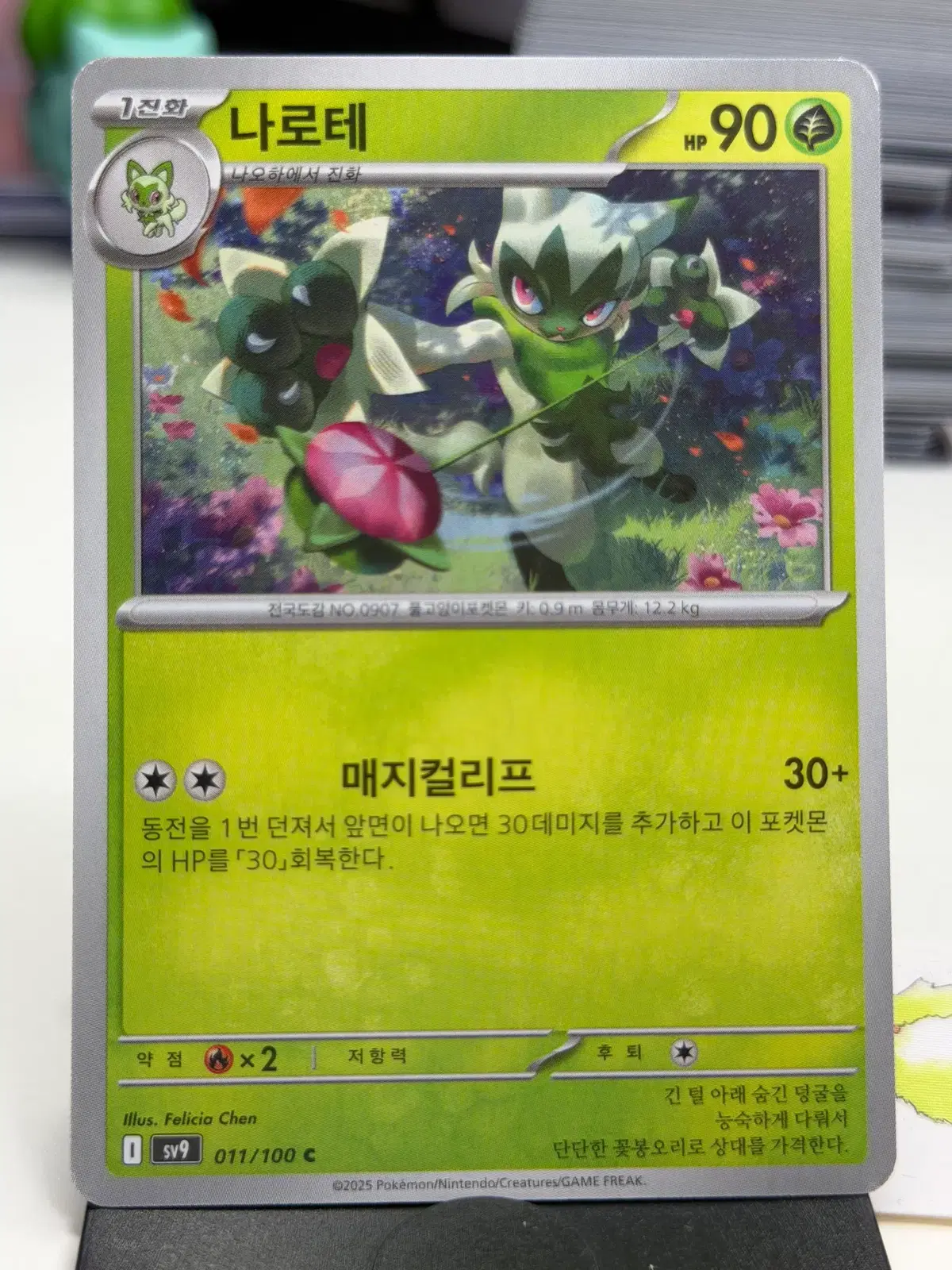 나로테 sv9 011/100 C (300)원