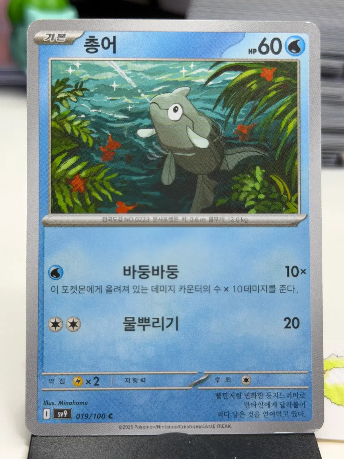 총어 sv9 019/100 C (300)원