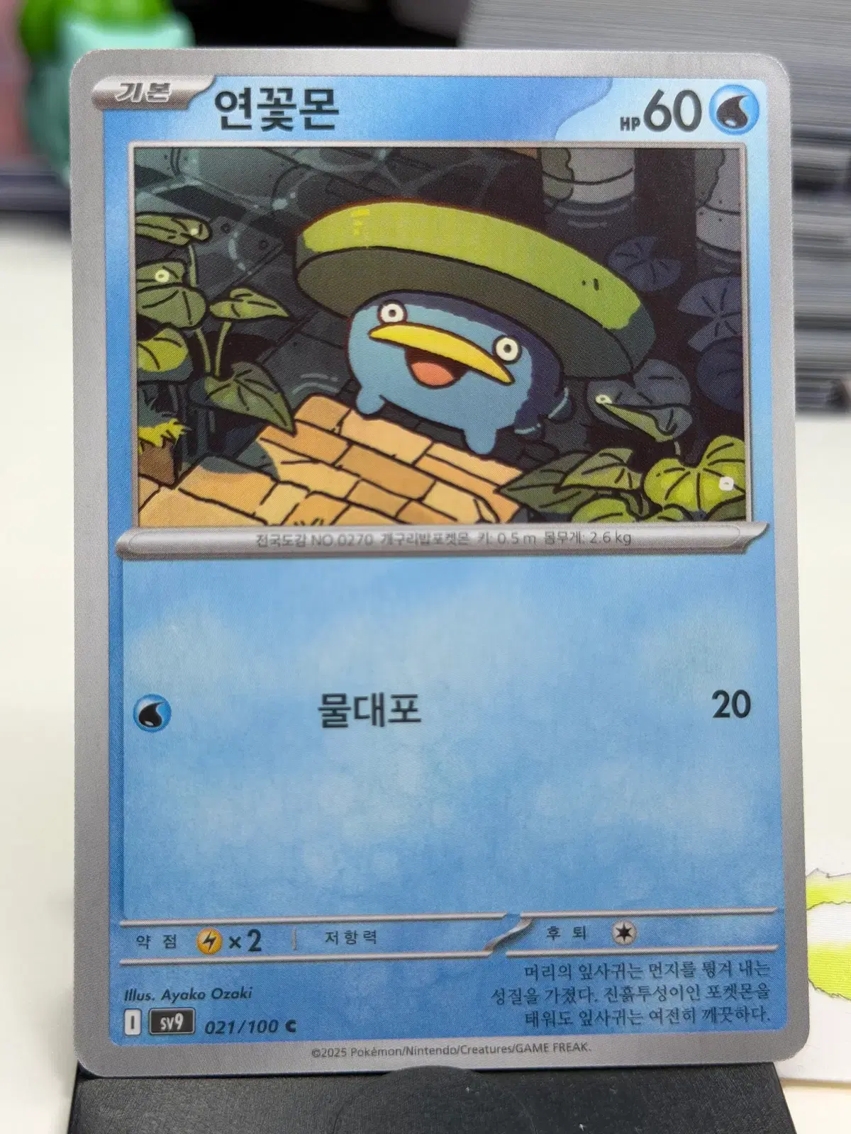연꽃몬 sv9 021/100 C (300)원