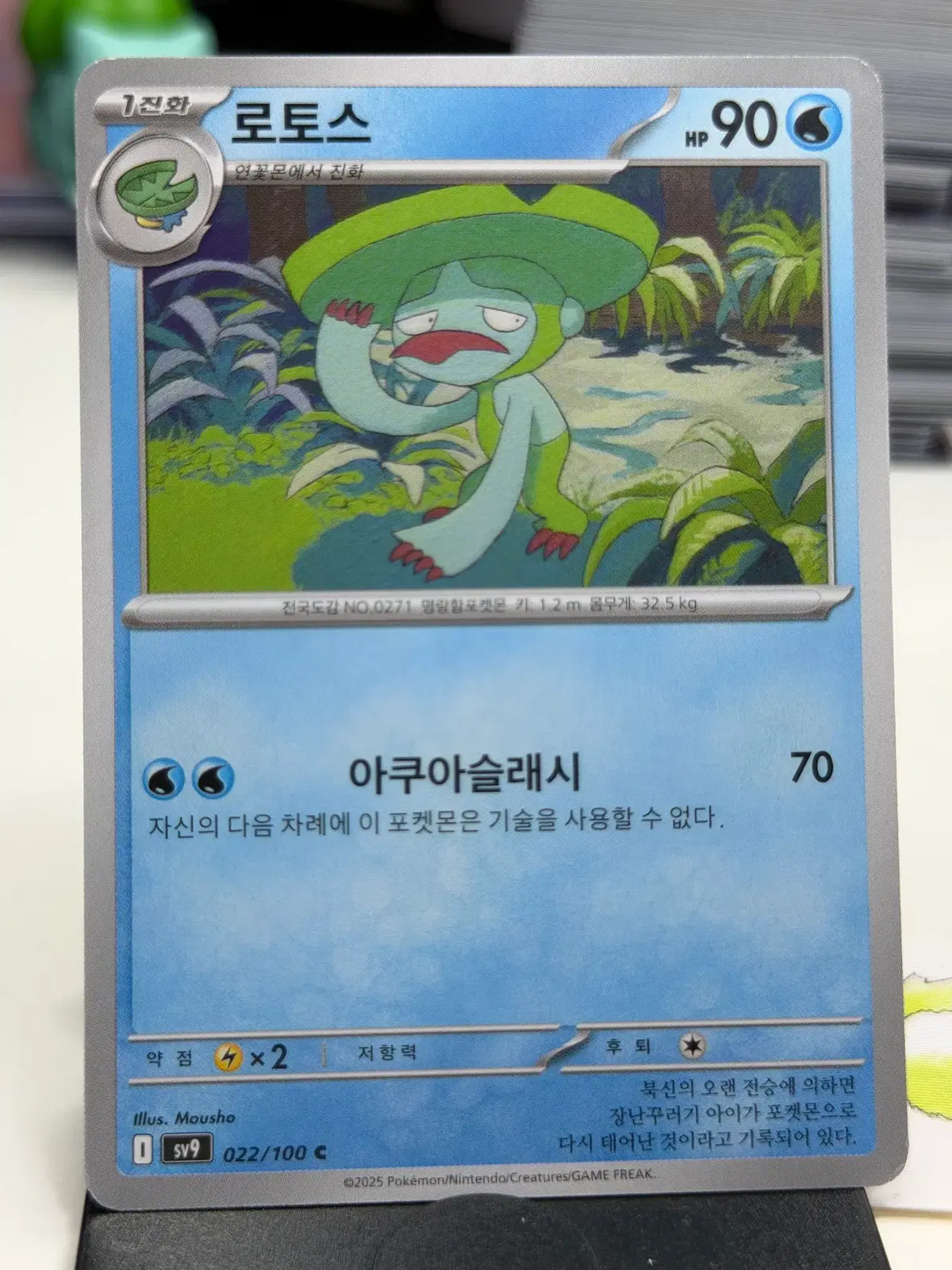 로토스 sv9 022/100 C (300)원