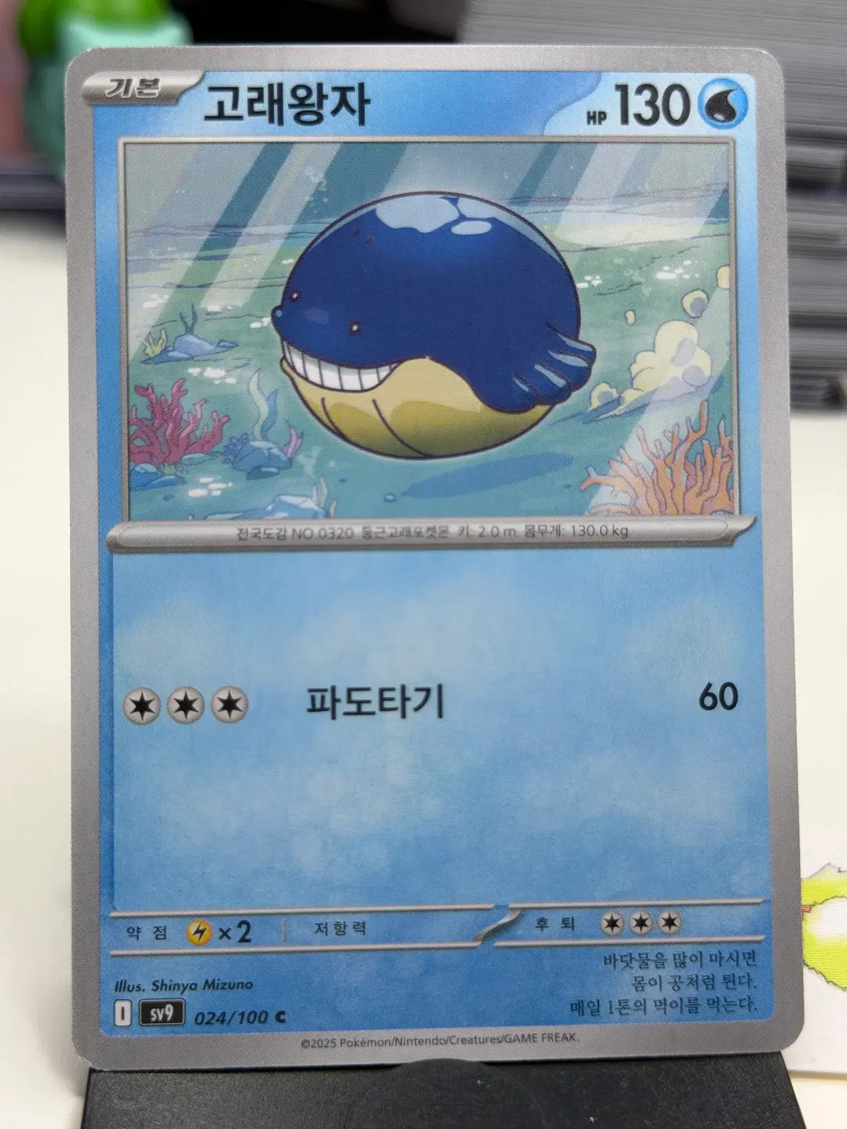 고래왕자 sv9 024/100 C (300)원