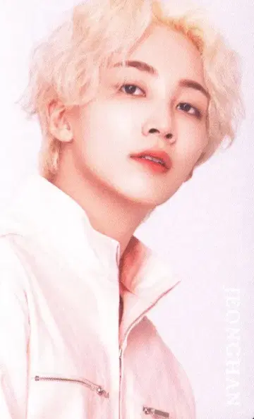 SEVENTEEN 2019 ODE to You IN JAPAN 정한 트레이딩 카드