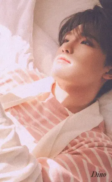 SEVENTEEN Your Choice 디노 트레이딩 카드