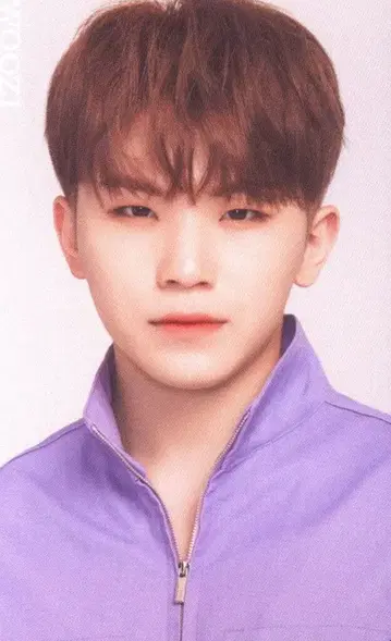 SEVENTEEN 2019 ODE to You IN JAPAN WOOZI 트레이딩 카드