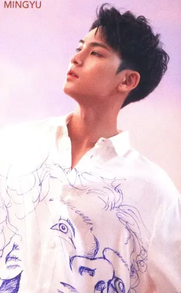 SEVENTEEN 떨어지는 꽃잎 MINGYU 트레이딩 카드 Pink