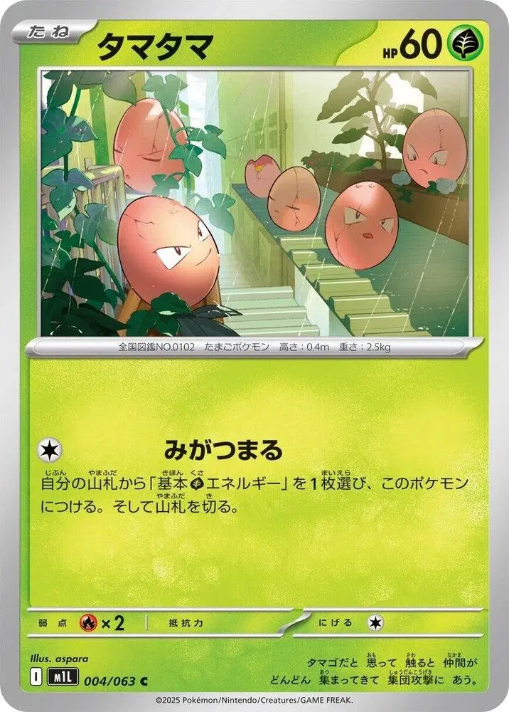 아라리 m1L 004/063 C (300)원