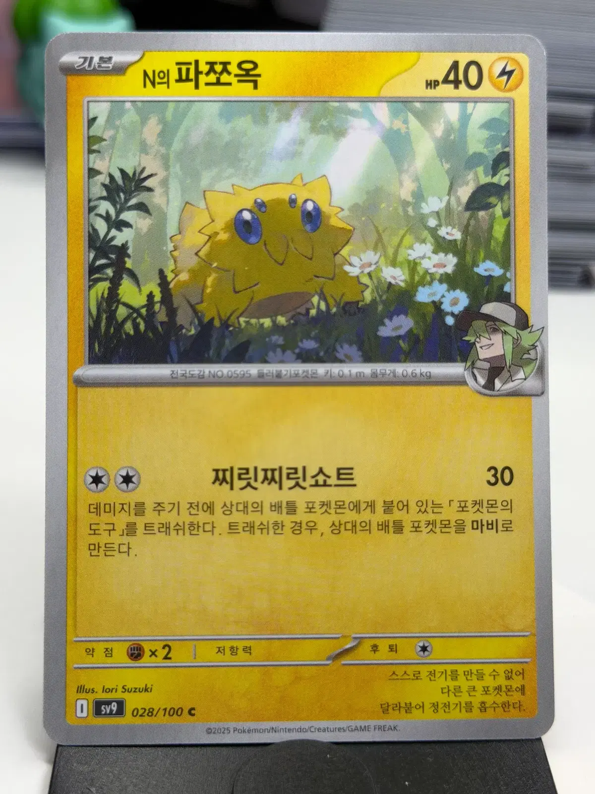 N의 파쪼옥 sv9 028/100 C (300)원
