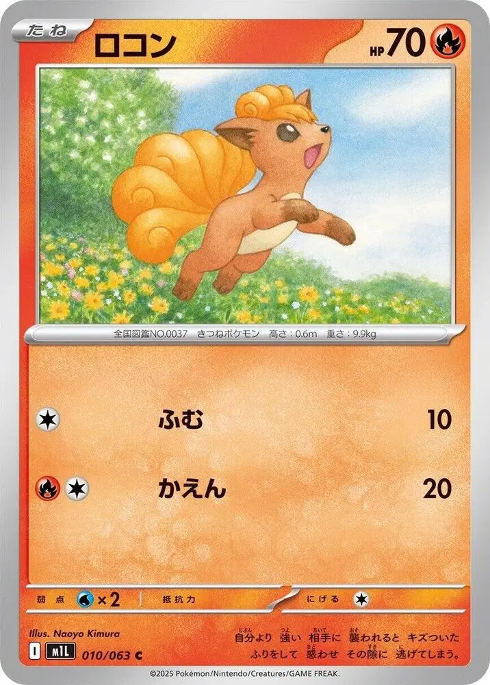 식스테일 m1L 010/063 C (400)원