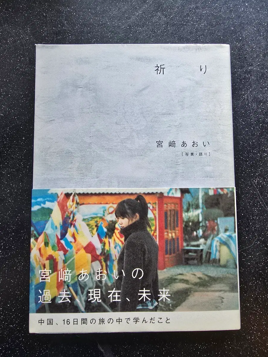 미야자키 아오이 일본어원서