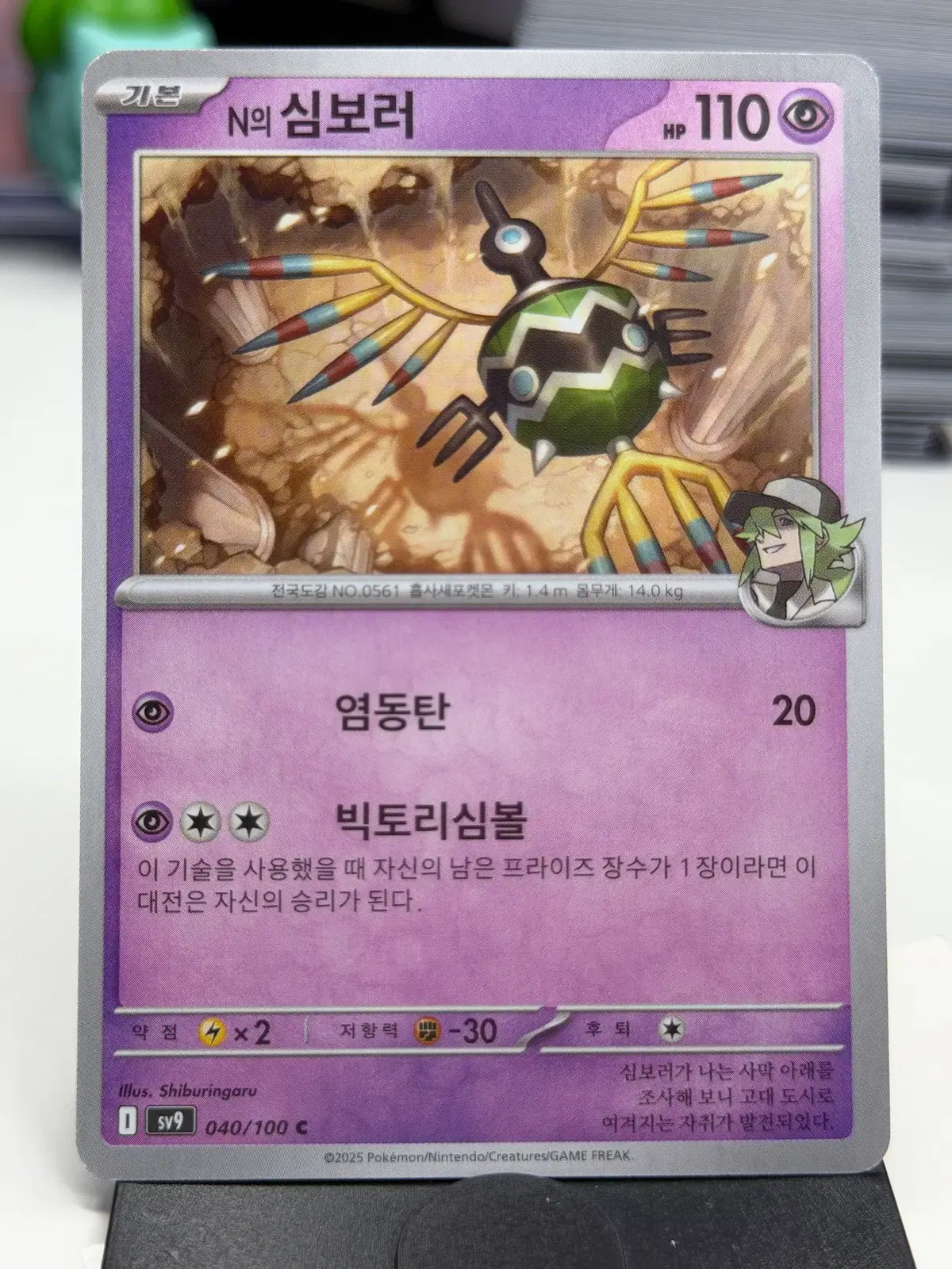 N의 심보러 sv9 040/100 C (300)원