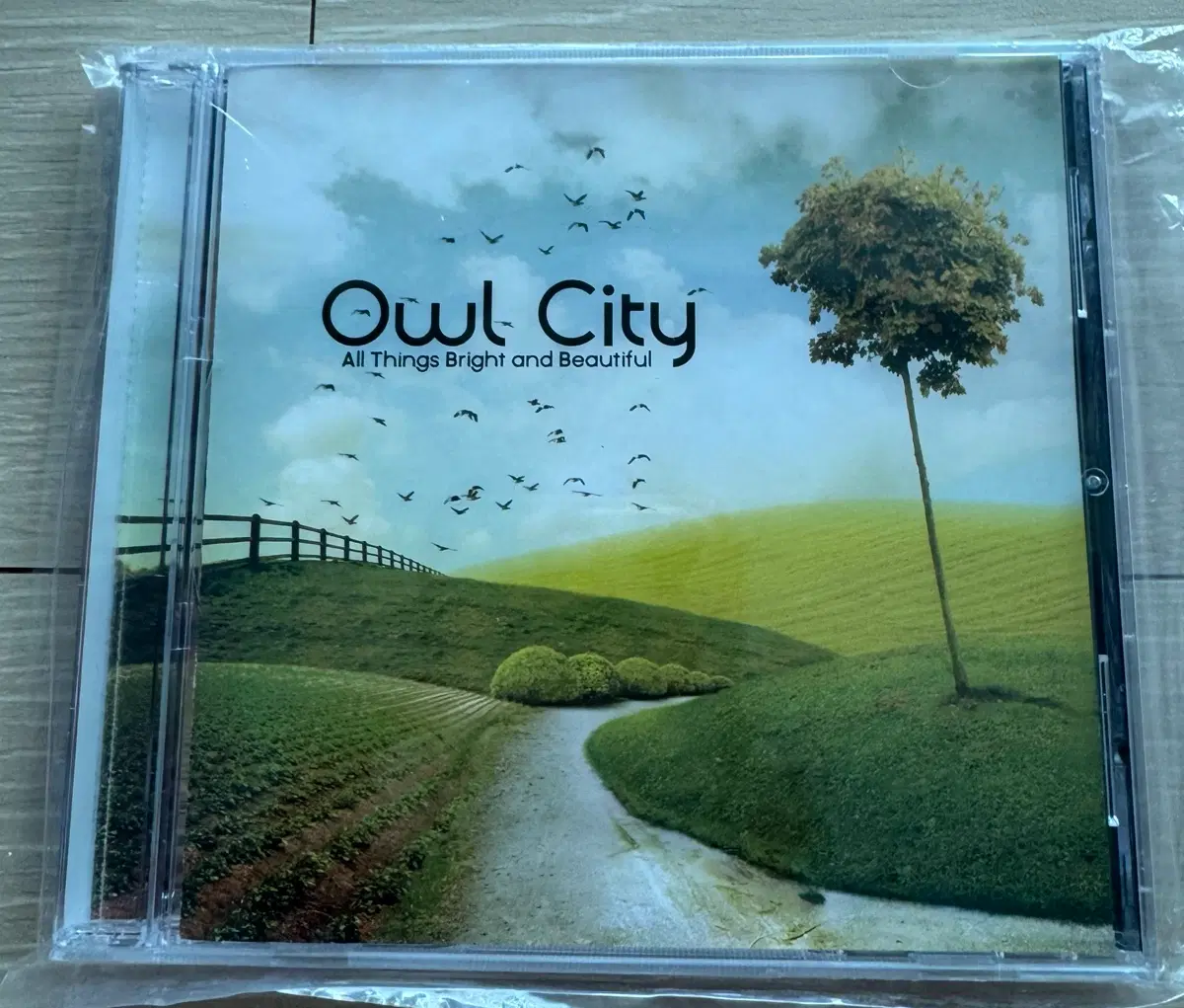 Owl City CD 앨범 2종