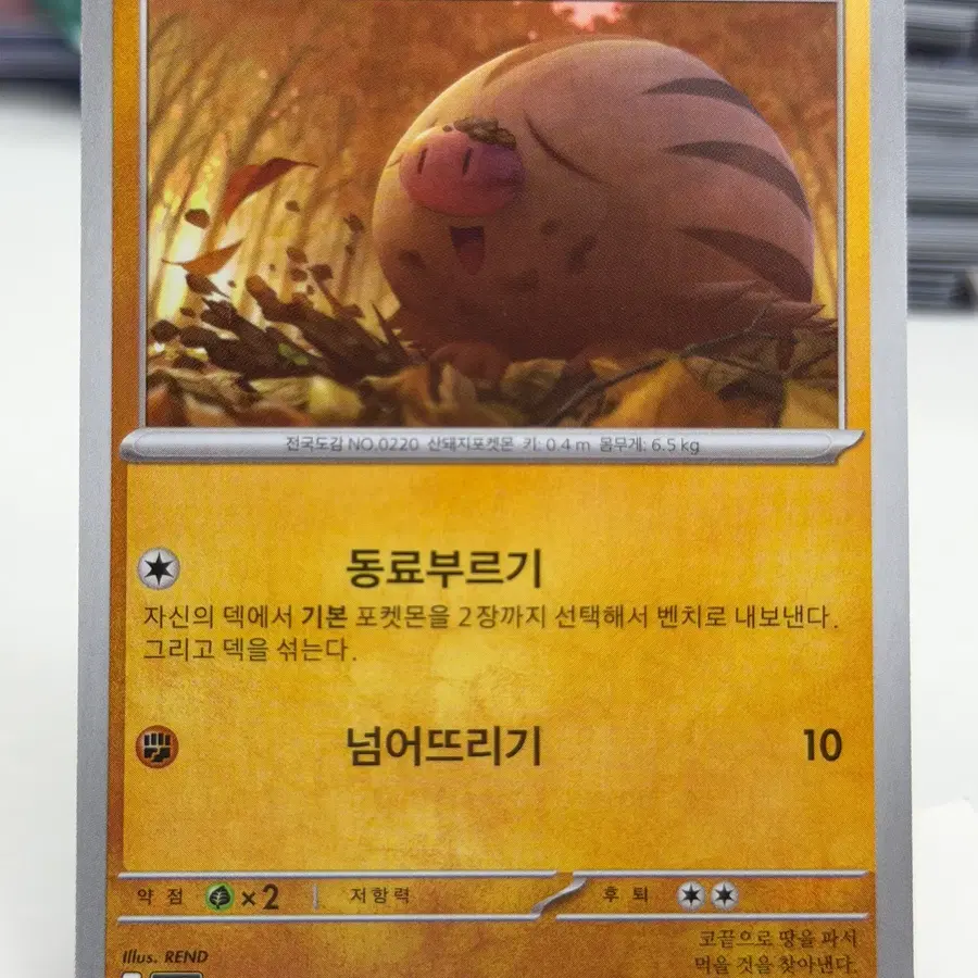 꾸꾸리 sv9 044/100 C (300)원
