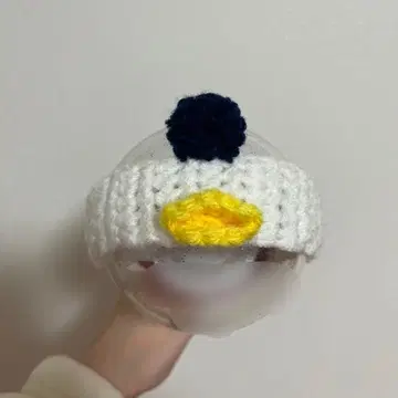riize 펜라커버