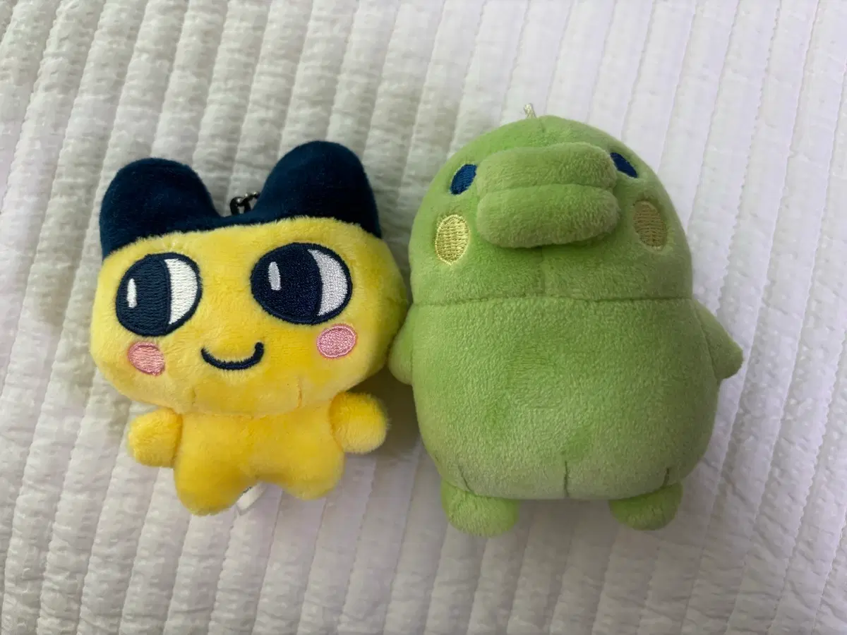 마메치 쿠치파치 일괄