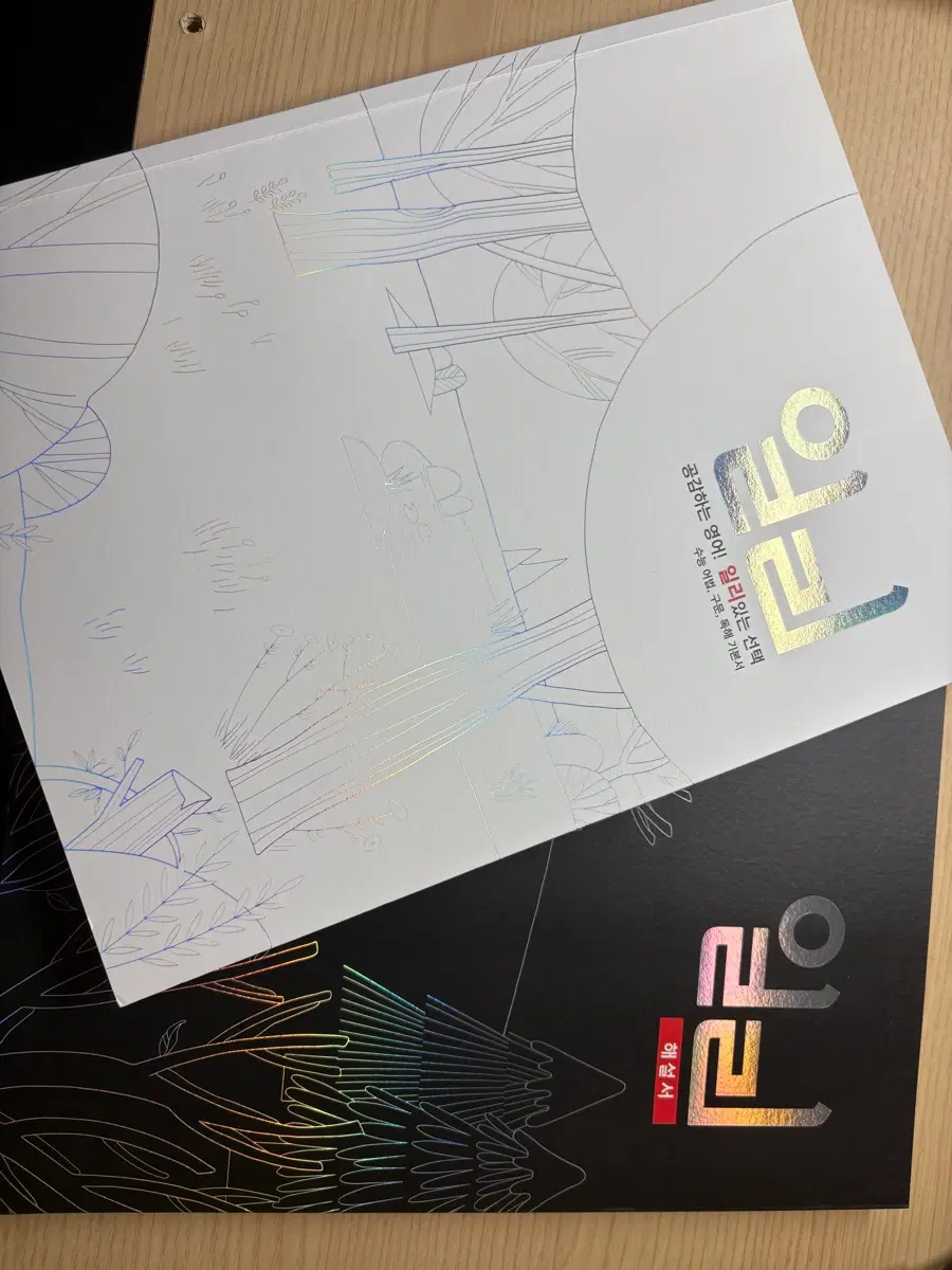 대성마이맥 이명학 일리