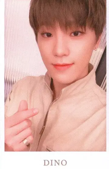 SEVENTEEN 2019 ODE to You IN JAPAN DINO 트레이딩 카드 이름