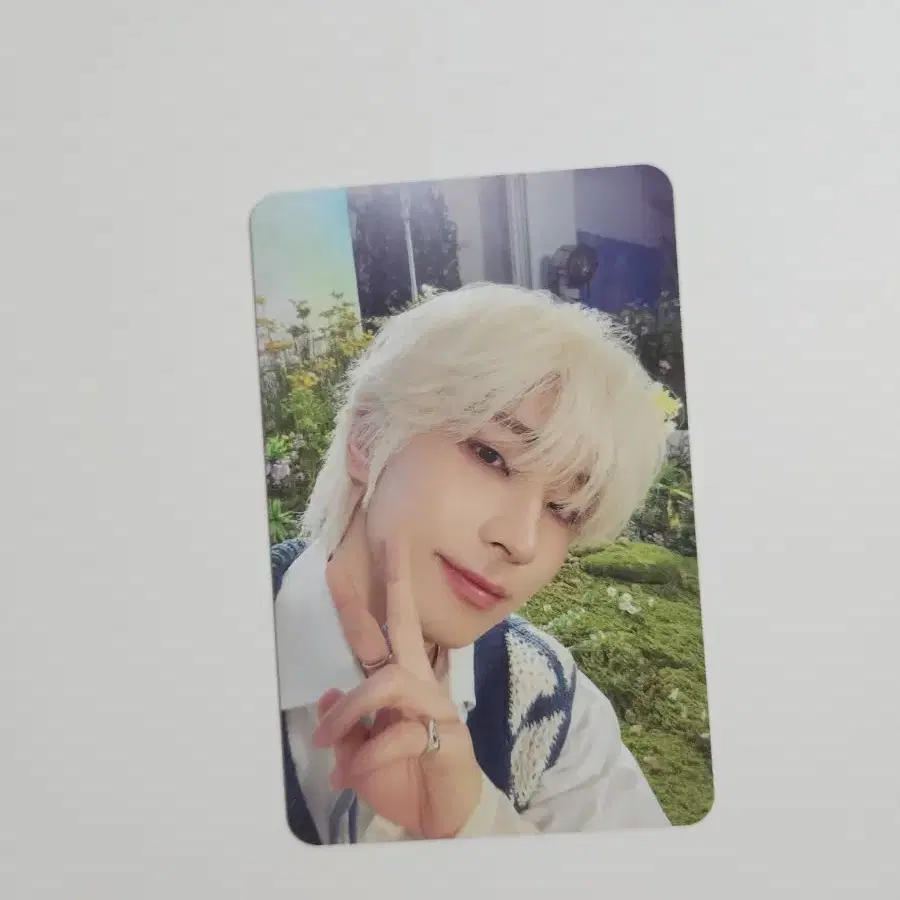 세븐틴 디스맨 원우 포카