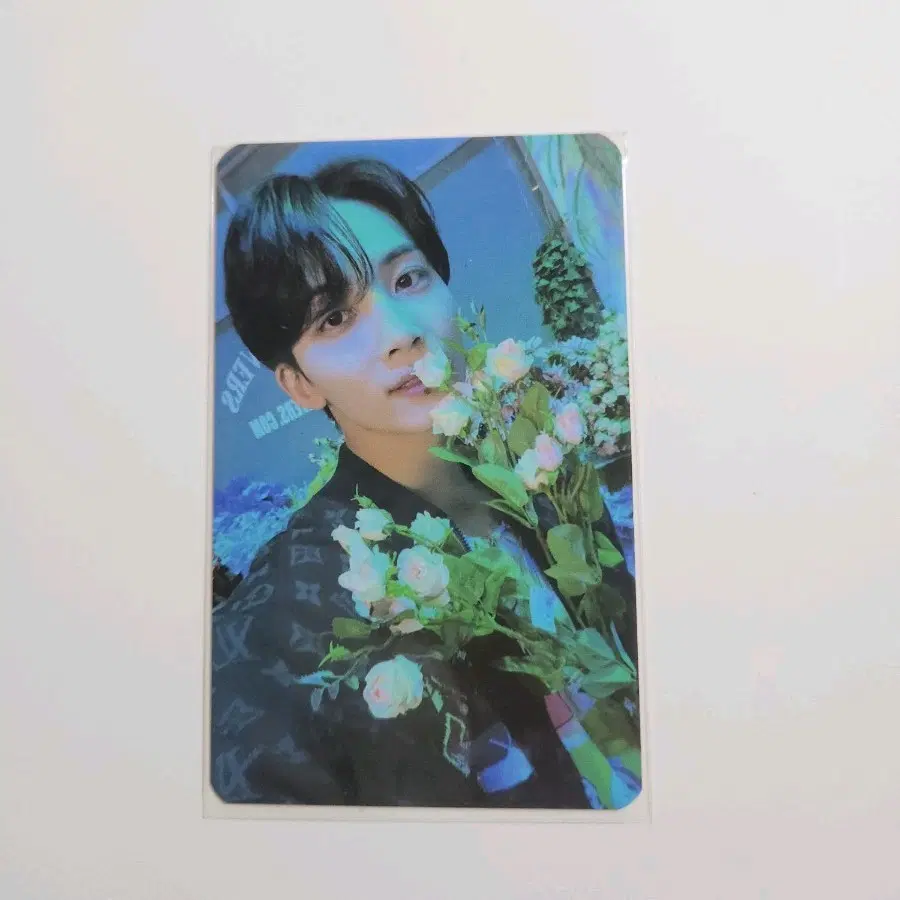 세븐틴 섹터 17 정한 포카 양도