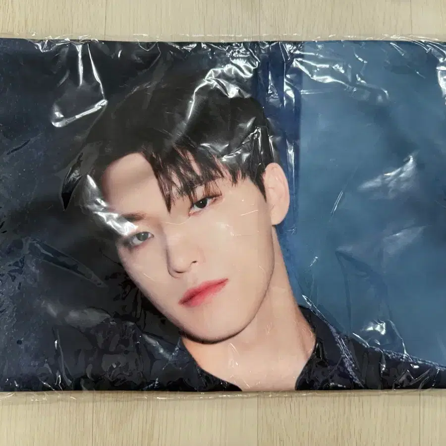 새븐틴 디노 타월