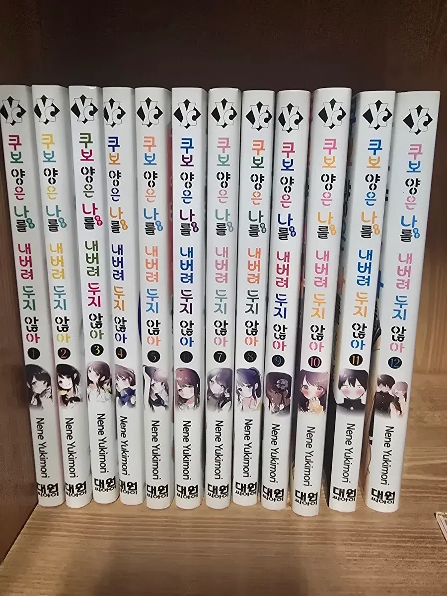 쿠보 양은 나를 내버려 두지 않아 전권 1~12권