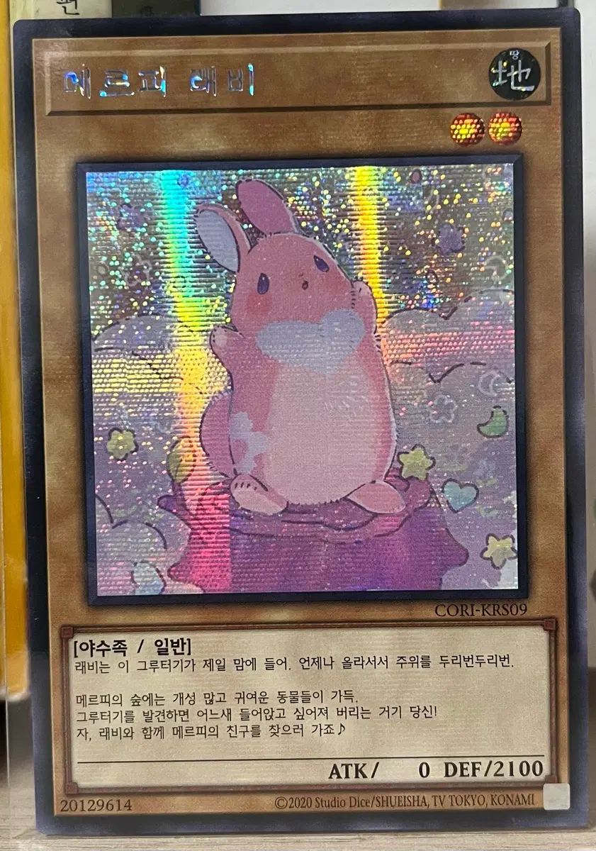 메르피 래비(CORI-KRS09) SE