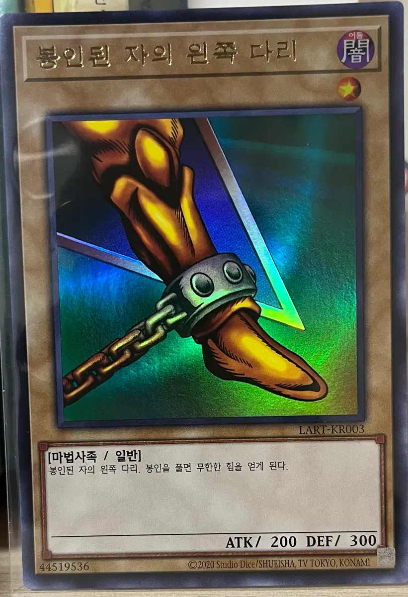 봉인된 자의 왼쪽 다리(LART-KR003) UR