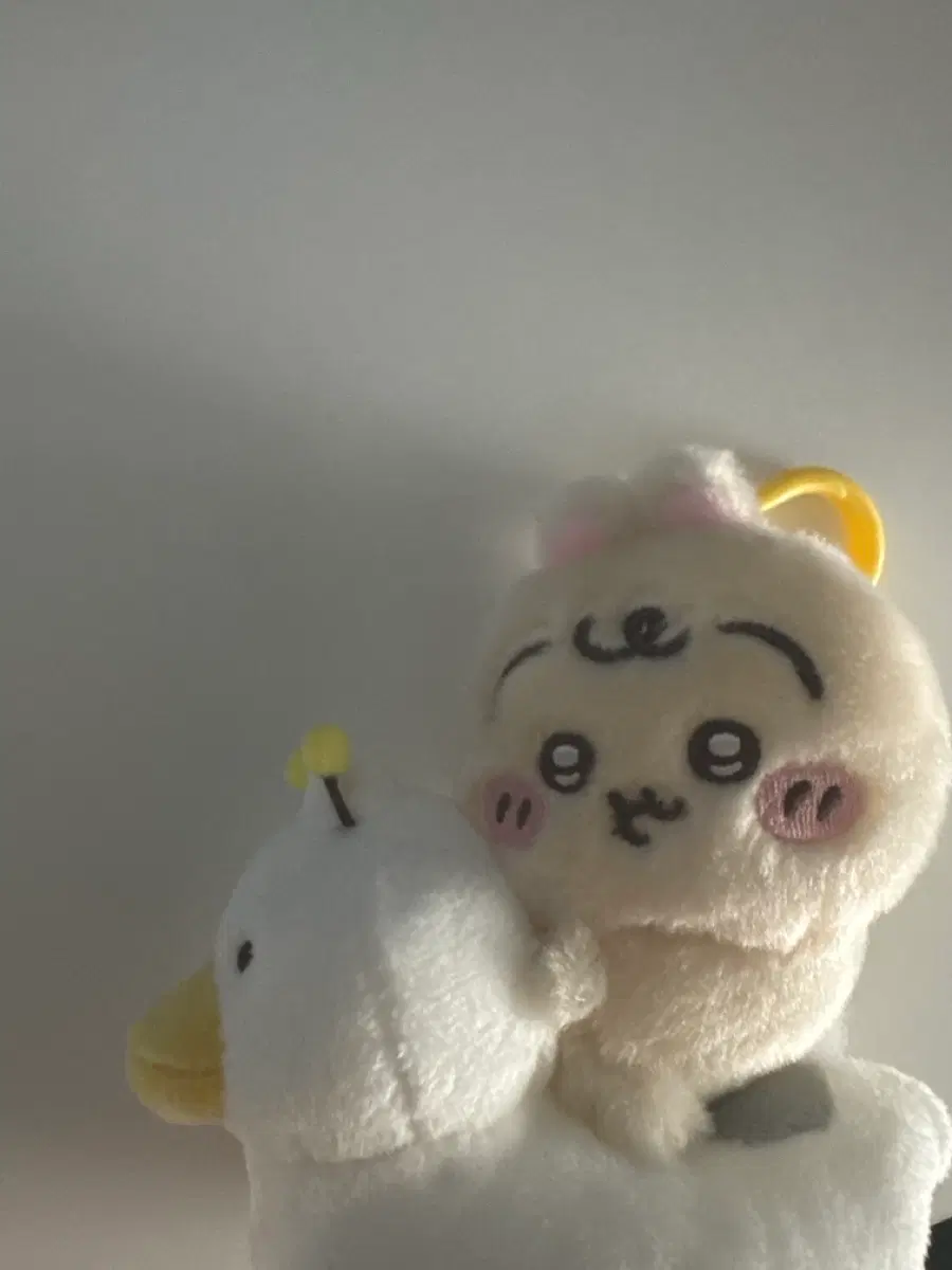 베이비 우사기 마코