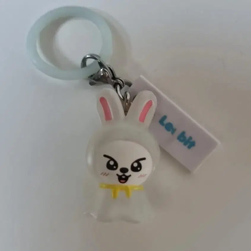 스키주 리빗 메지루시