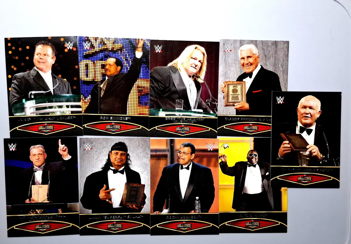 WWE 제리롤러 등 7장 묶음 탑스 명예의전당