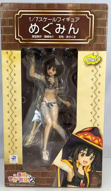 팻 컴퍼니 메구밍 PVC