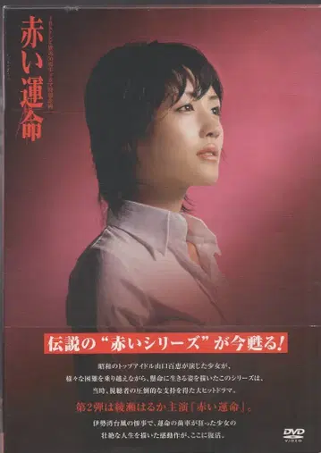 드라마 DVD 붉은 운명 DVD-BOX