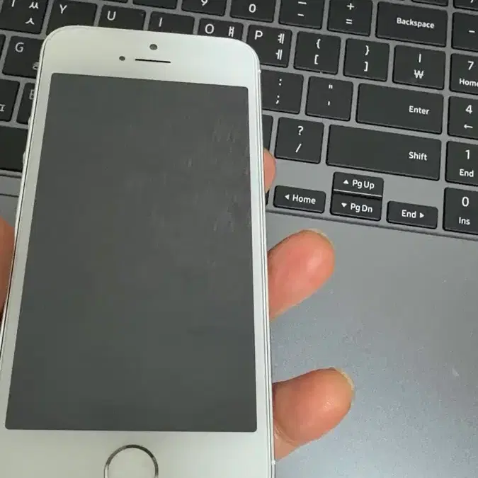 C3. 아이폰 se1 128GB