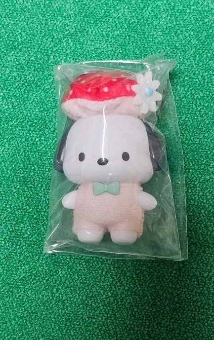 산리오 치비토모 포차코 버섯