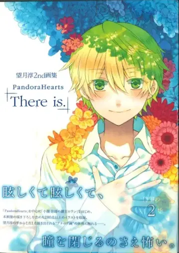 스퀘어 에닉스 모치즈키 준 모치즈키 준 2nd 화집 PandoraHearts [ There is. ] (오비 포함)