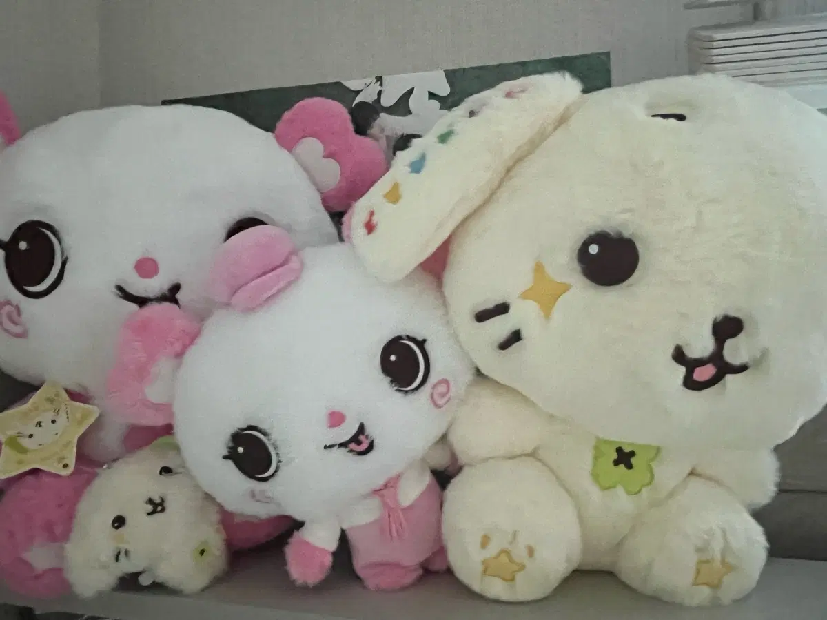위시돌 거래