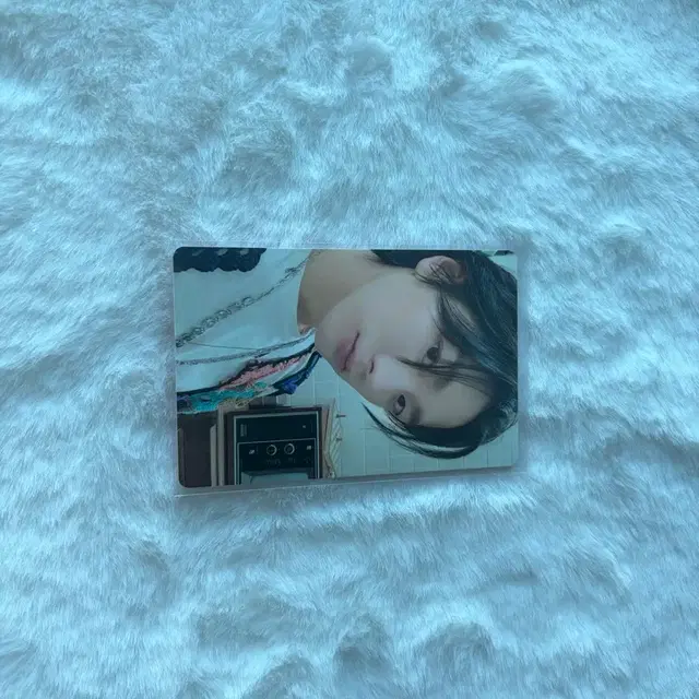 보넥도 WHO 성호 포카