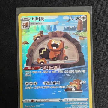 [S급] 비버통 ar
