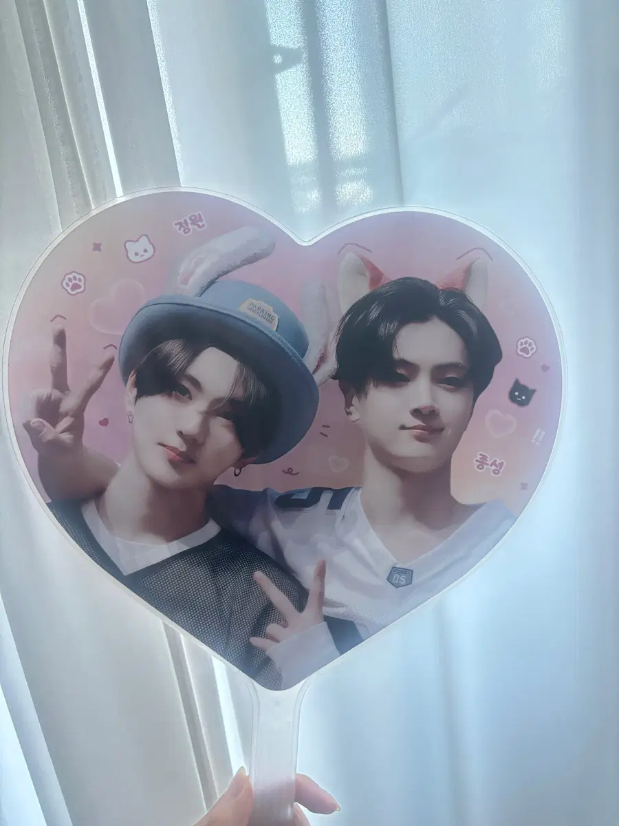 엔하이픈 야옹즈 우치와